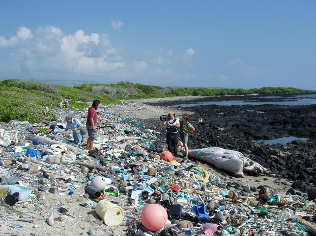 debris on the beach